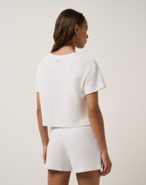 Coastal Rib Charter Cruise Top