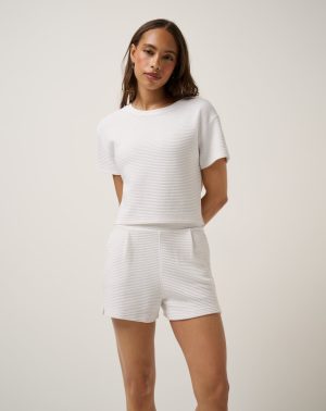 Coastal Rib Charter Cruise Top