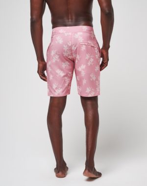 Macadamia Nut Boardshort