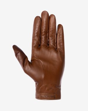 Premier 2.0 Golf Glove