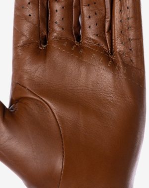 Premier 2.0 Golf Glove