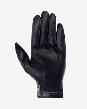 Headliner Golf Glove