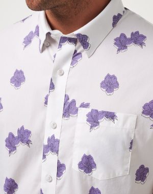 Hit The Books Button-Up