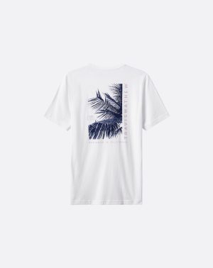 Hidden Lagoon Tee
