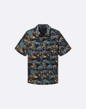 Knit Hanabata Days Button-Up