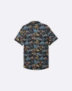 Knit Hanabata Days Button-Up