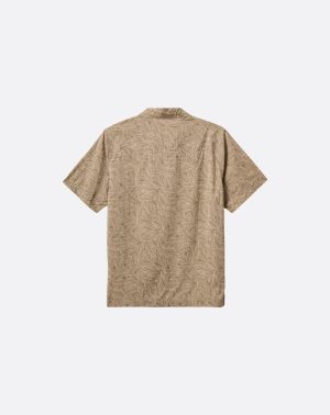 Afternoon Sun Button-Up