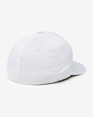 Bat Watching Fitted Hat