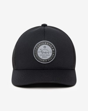 Black Bear 2.0 Fitted Hat