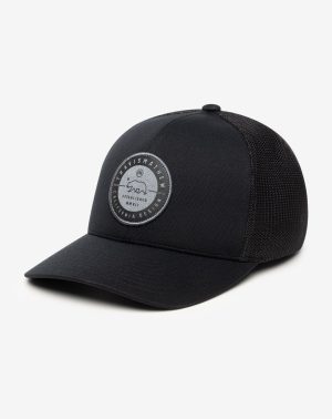 Black Bear 2.0 Fitted Hat
