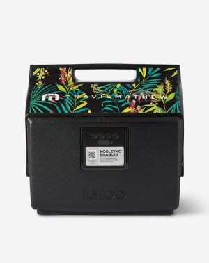 Save One For Later Kooltunes Cooler