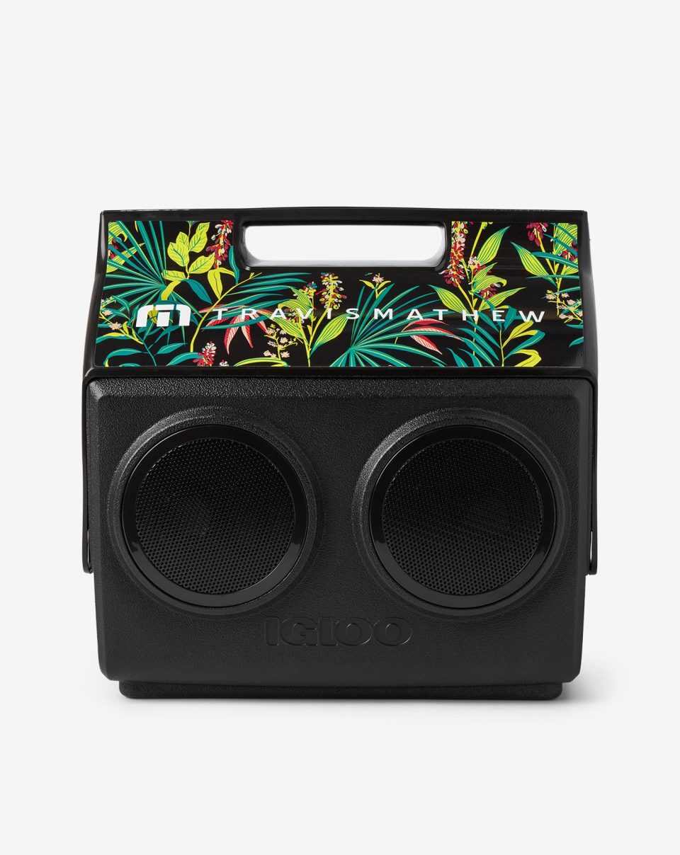 Save One For Later Kooltunes Cooler