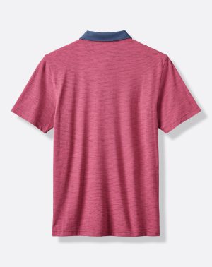 Common Interest Polo