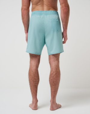 Acropolis Boardshort